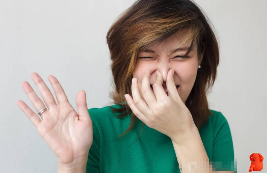 怀孕了体味越来越大,懒惰造成体味重