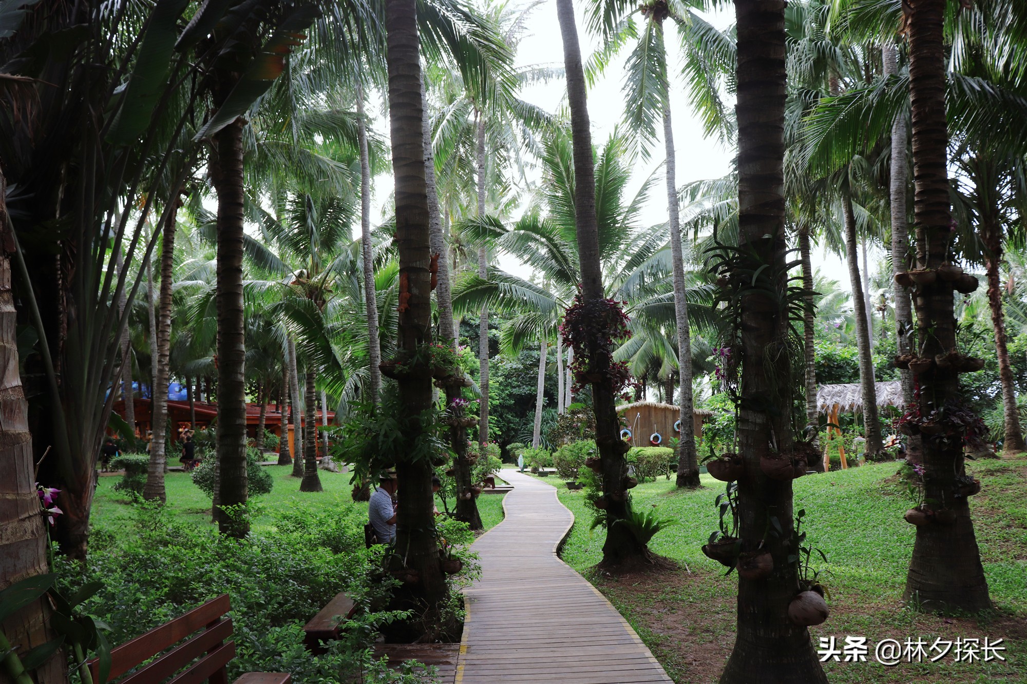 蜈支洲岛第一岛,海南潜水蜈支洲岛