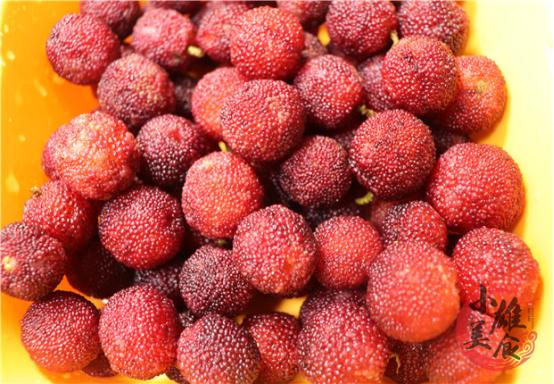 杨梅怎么才能把虫子泡出来,杨梅虫子怎么泡出来