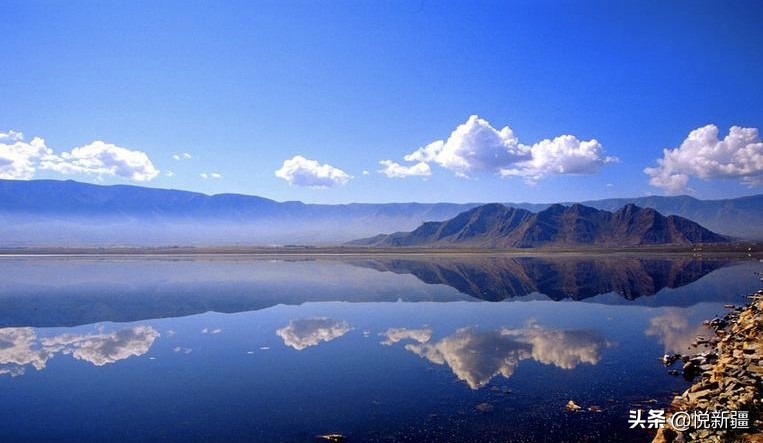 我来告诉你*疆新**为撒不包邮！！