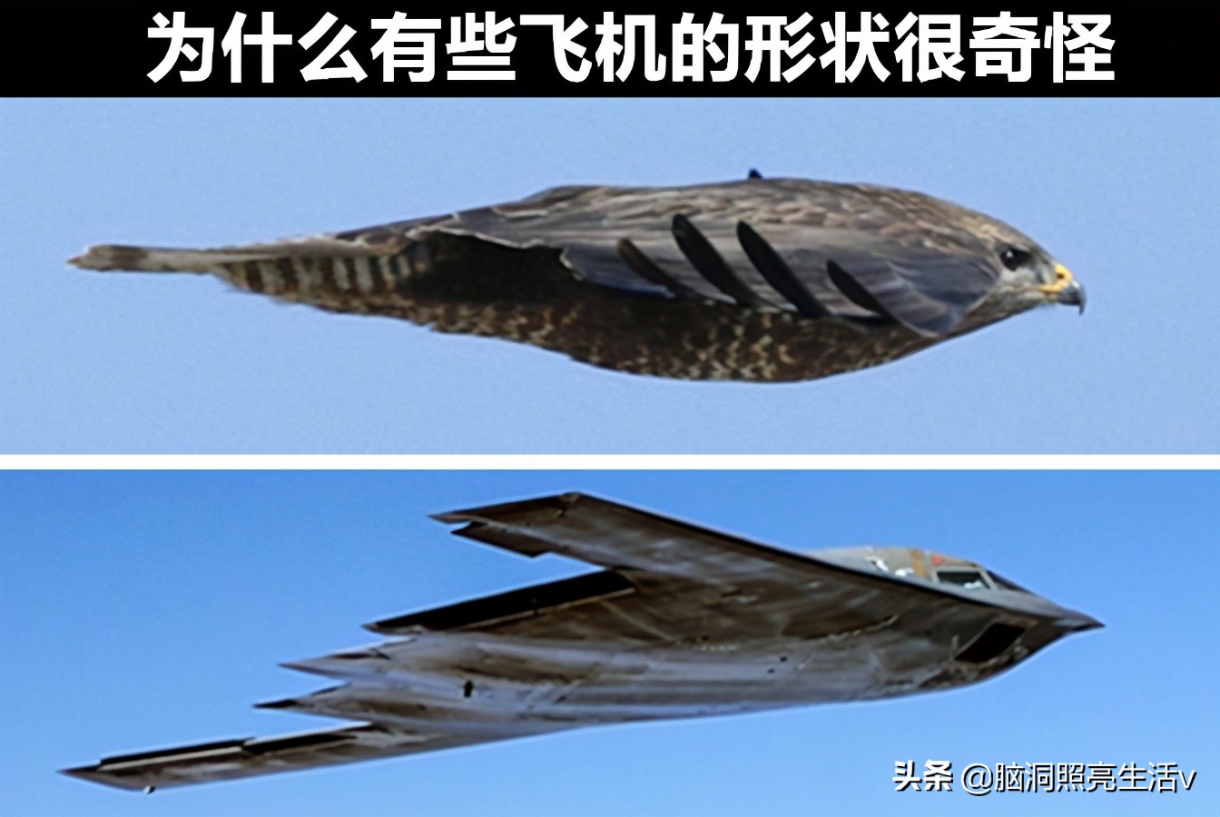 与飞机有关的9个有趣问题，也许会让很多人都并不知晓