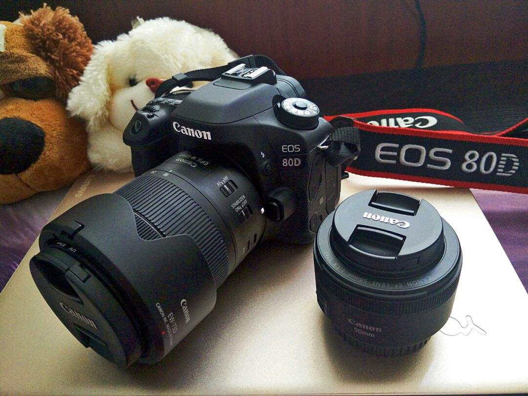 佳能80d18-200镜头价格,佳能80d和200d拍照对比
