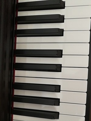 雅马哈电钢琴YDP164怎么样？值得购买吗？