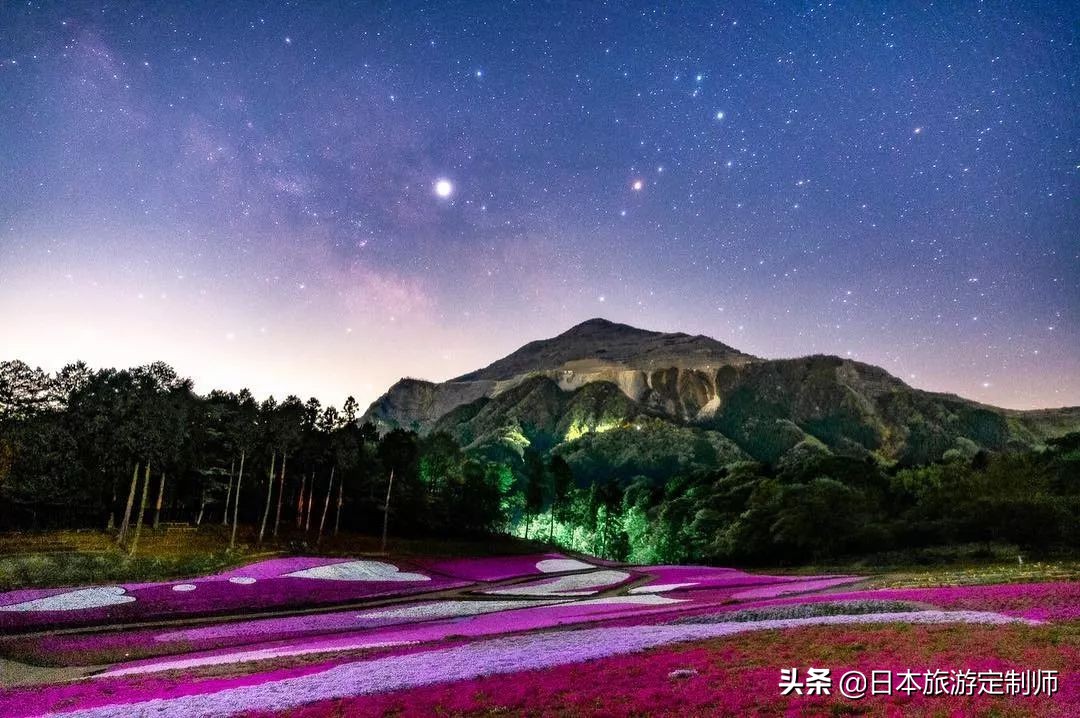 日本最美小景点,日本超美的花海美景