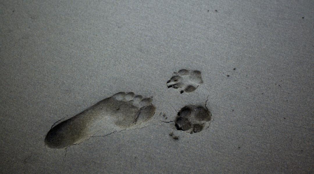 科普卵巢畸胎瘤,科普盆腔积液文章