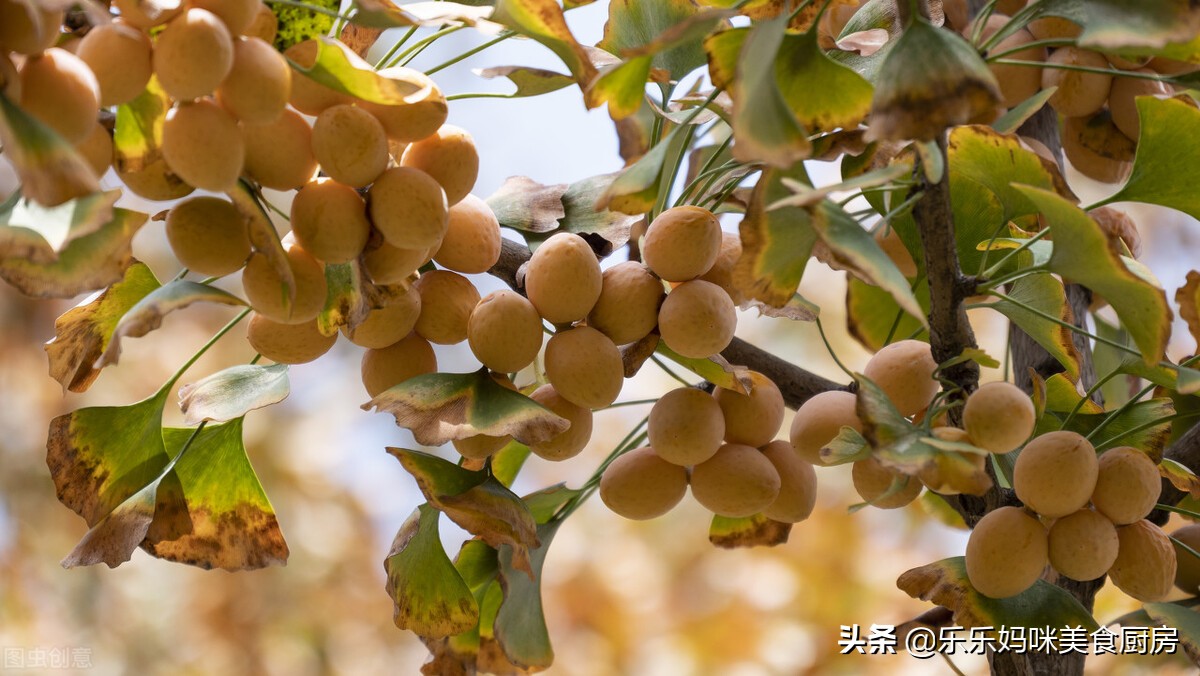 秋果吃多了会怎么样,常吃秋果有什么好处