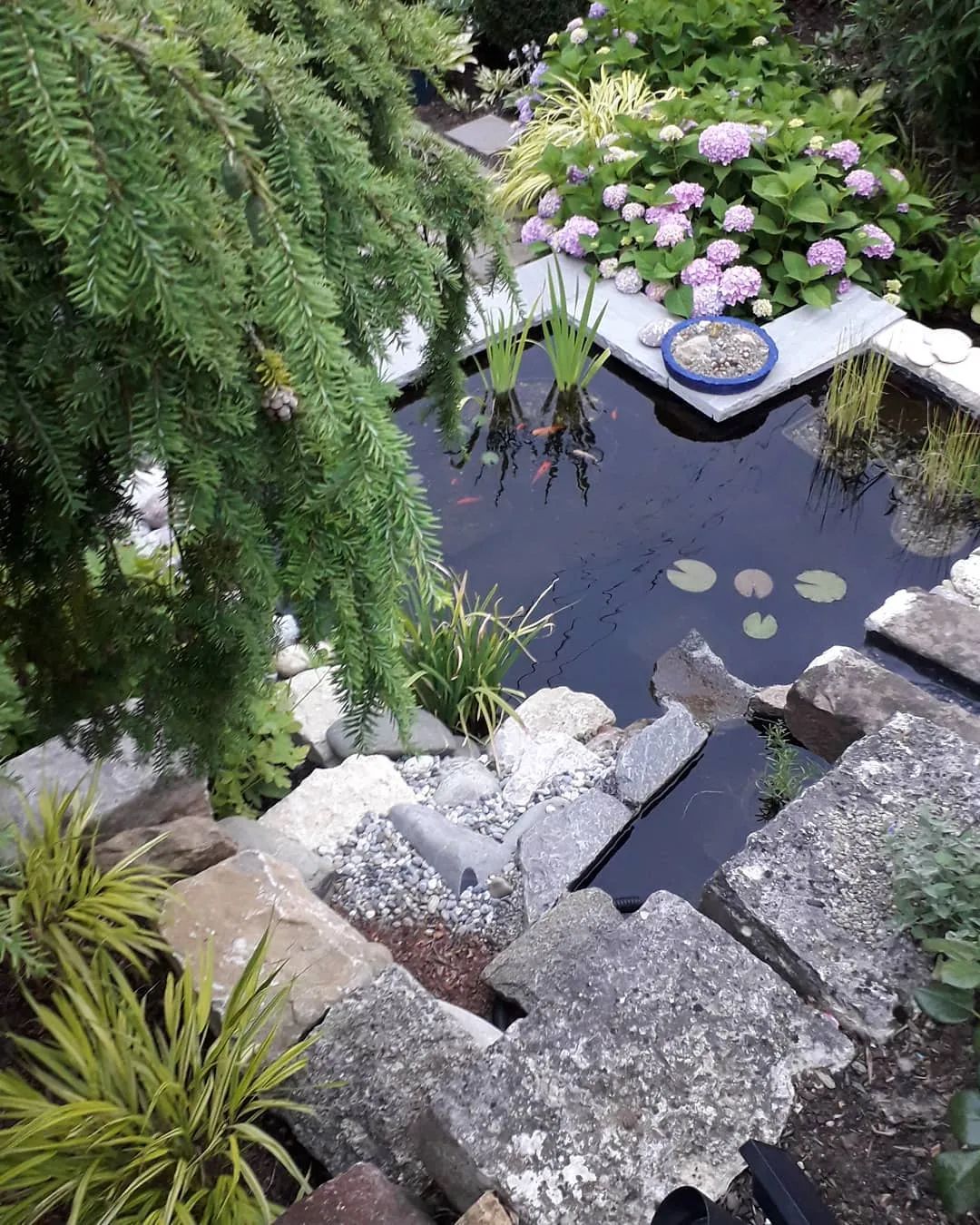 英伦风水景雕塑图片,景观亲水平台图片