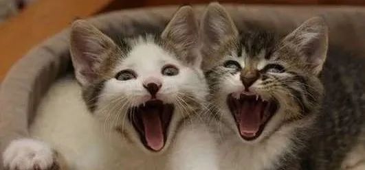 抗疫的诗原创,抗疫的原创诗