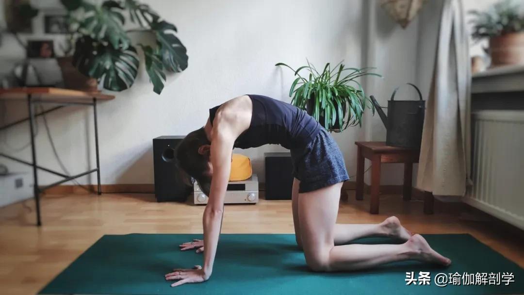最简单的瑜伽动作初学者,最简单的瑜伽动作刚入门