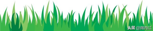 投资20亿元,内江这个小镇将建国际足球竞训基地