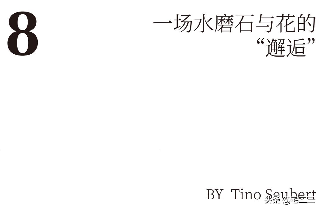 回归大众视线,回归现实生活发现生活的美