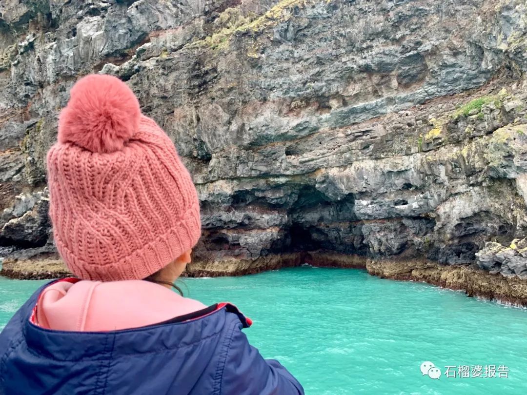 旅行7天,七天游记的视频在线观看全集高清