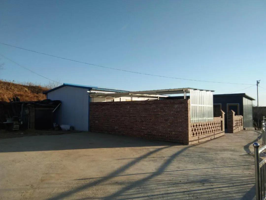 90后夫妻养殖致富,00后创业养殖鸵鸟