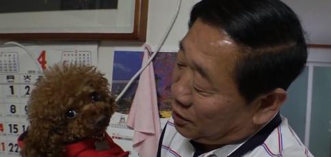 被溺爱的狗是怎么样的,老人家被小狗咬到了手怎么办