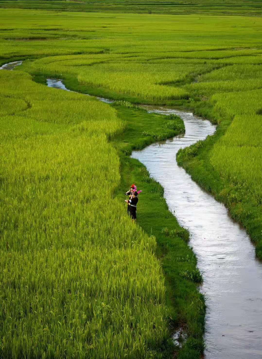 户撒佛祖的后花园现在怎么走,户撒为什么叫佛祖后花园