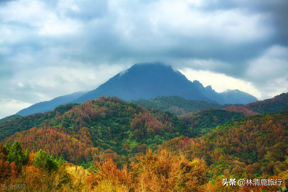 三亚适合过冬养老度假的地方,比三亚性价比更高的过冬地