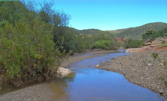黄喉石龟图片大全,欧洲黄喉