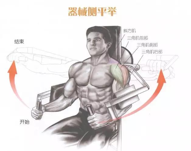 肩部肌肉训练有什么用,肩部训练肌肉线条的美感