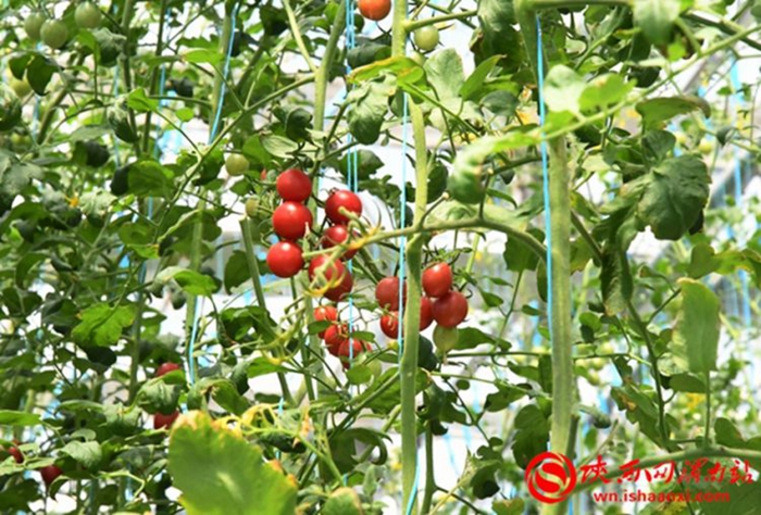 渭南今日头条最新事件,渭南市新闻最新事件