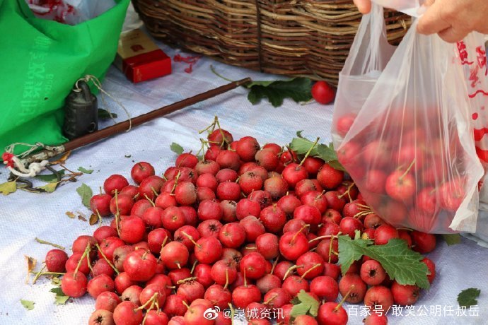 山楂做的水果,山楂做成的食品有哪些