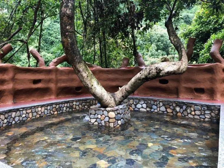 九州驿站英德天门沟树屋住宿价格,清远天门沟九州驿站