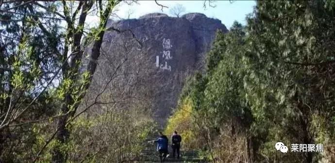 莱阳农村故事,莱阳市农村真实故事