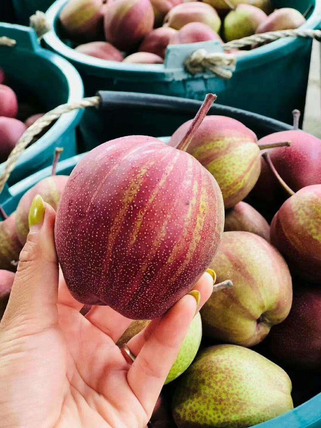 7月三伏天,有条件的多吃这4种蔬果,消暑解渴,胜过天天喝饮料