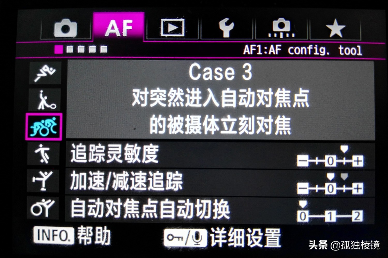白鹭拍摄测光曝光技巧,白鹭的拍照技术
