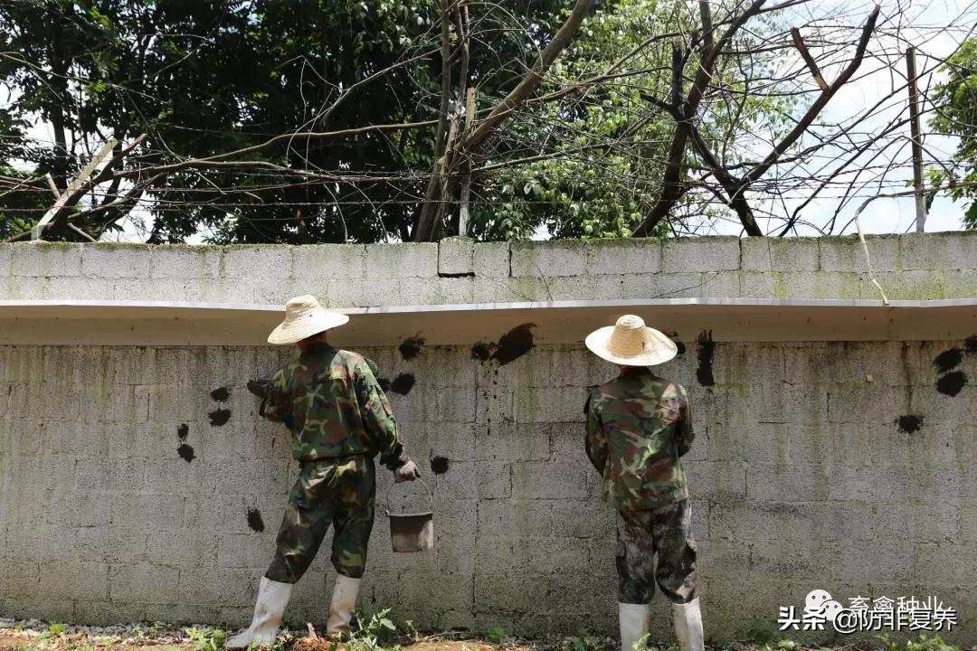 非瘟预防消毒,非瘟防控刻不容缓