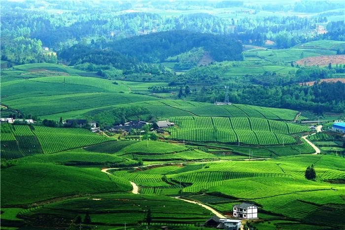 遵义市县区脱贫顺序,遵义的贫困县有哪些