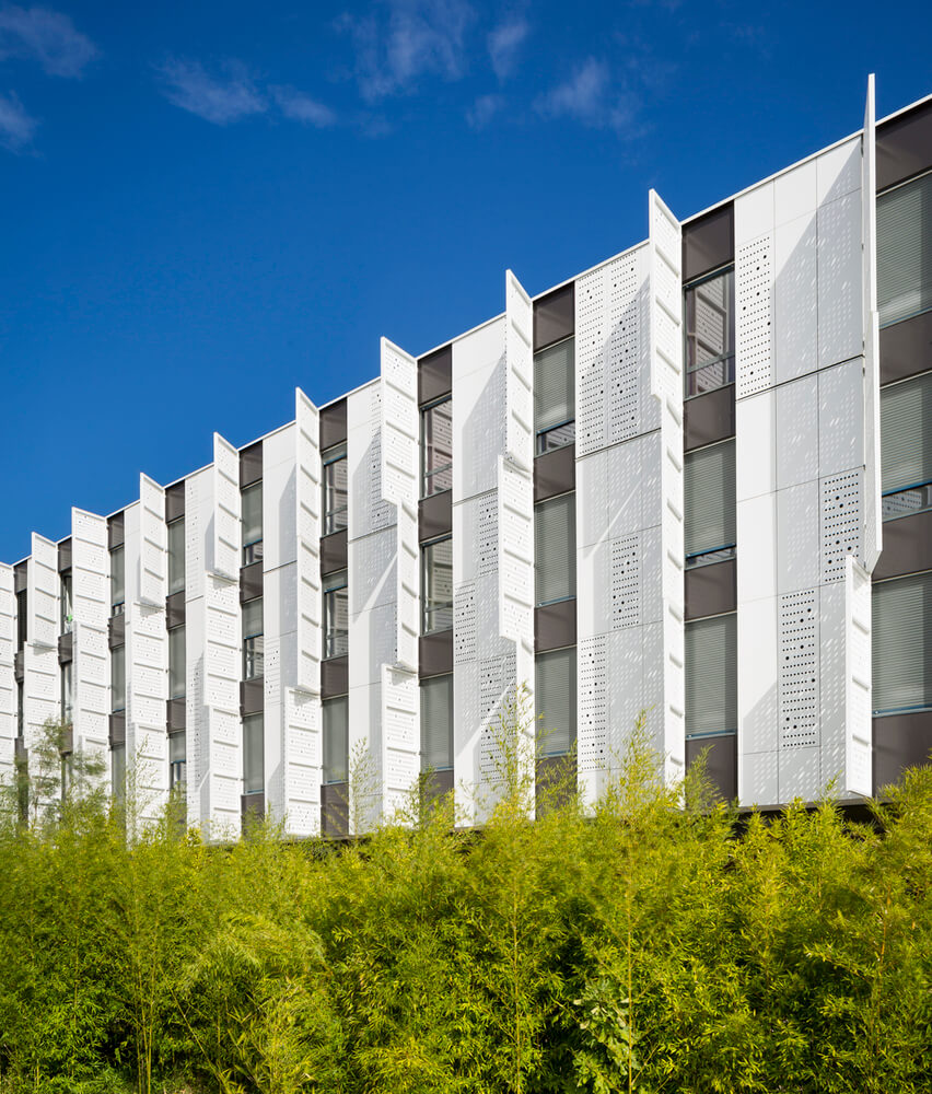 321作业讲解,321作训总结五百字