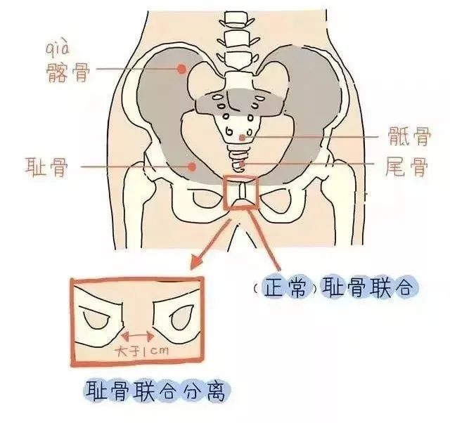 papi酱只是晒了个娃，就被1000万人骂上了热搜？