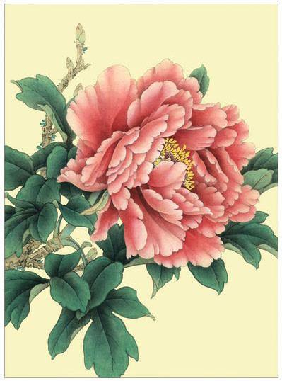 工笔牡丹勾线画法,工笔牡丹十二品设色步骤