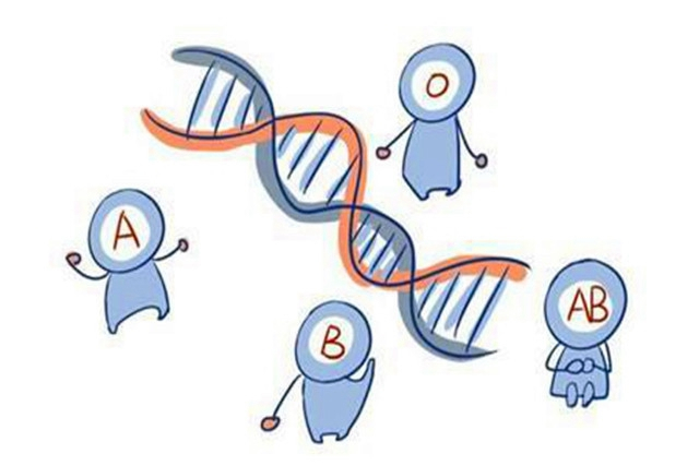 孩子聪明和妈妈血型有关吗,孩子血型聪明度