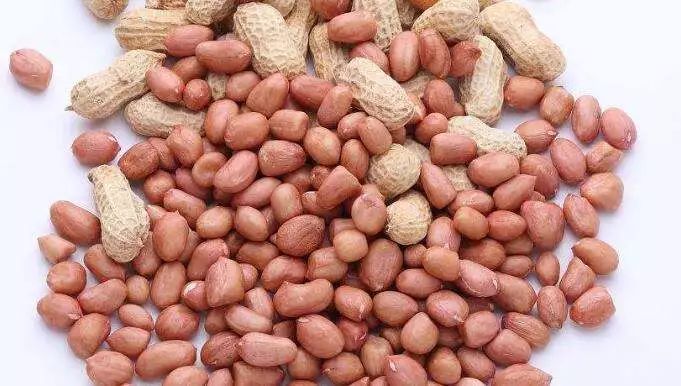 秋冬季节常喝它，滋养肝肾又养血润燥