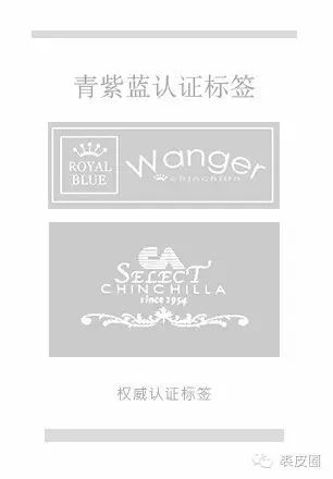 永恒的经典衣服款式,永恒的皮衣