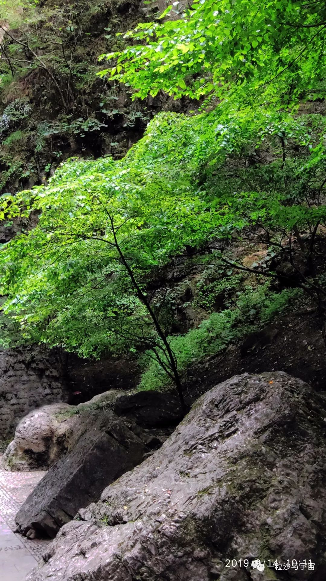 野三坡百里峡天气,野三坡百里峡二日游