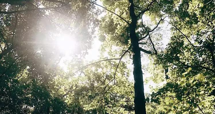 网红一夜收入千万,网红一夜之间一无所有