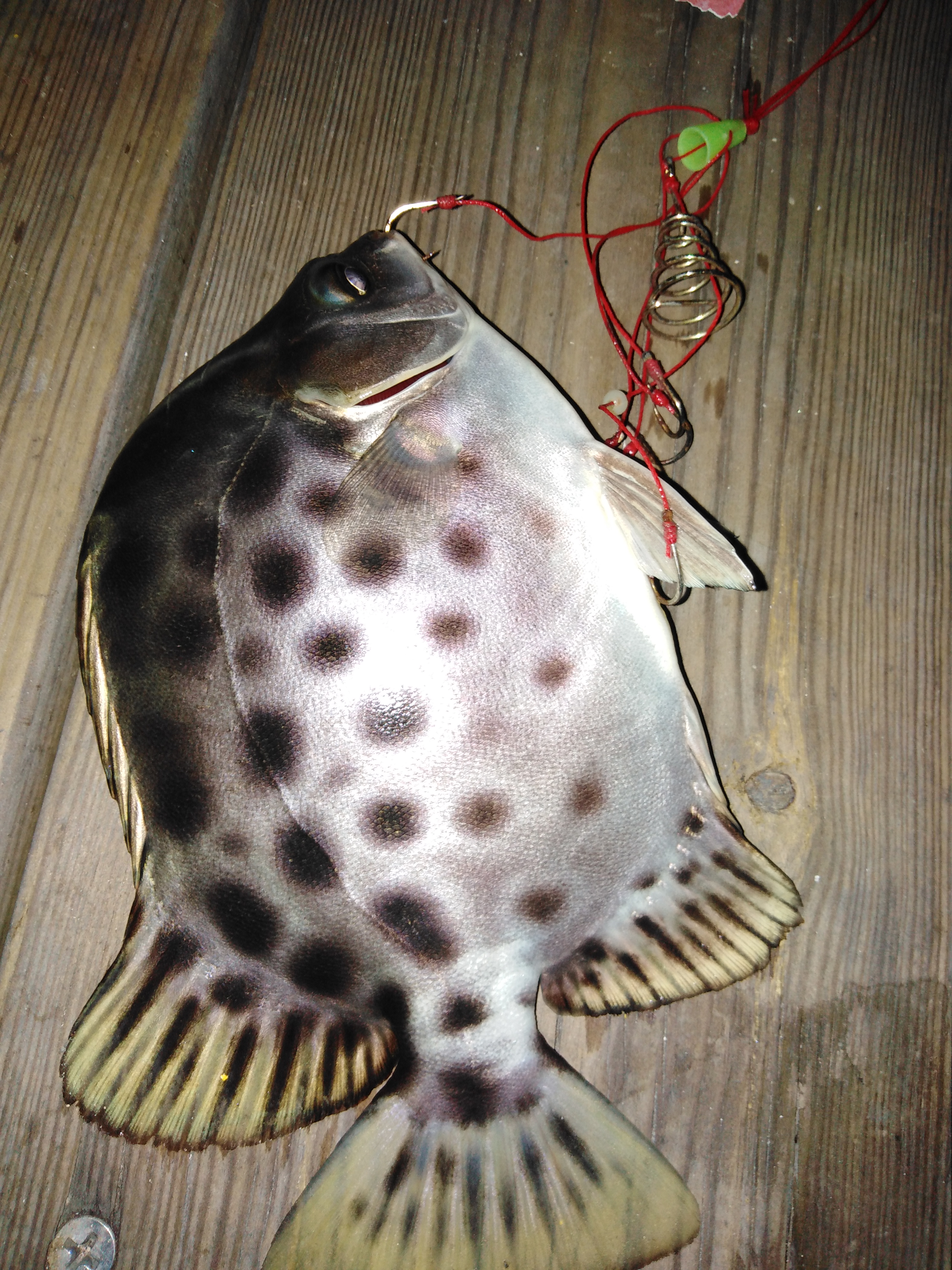 海钓注意有毒鱼种,海钓七种危险鱼类