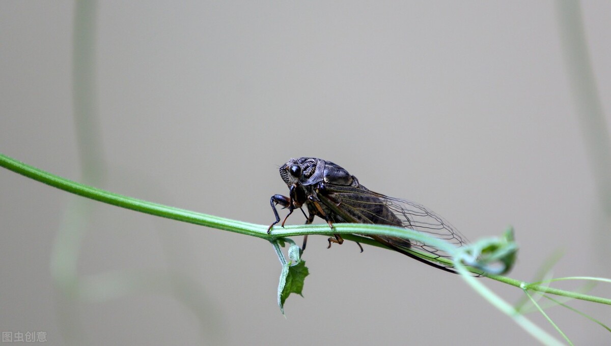 夏天印象,夏天印象的视频