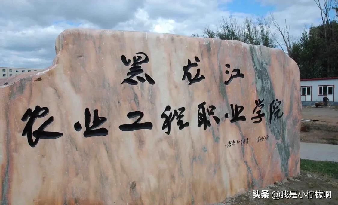 黑龙江农业工程职业学院中药,黑龙江农业工程职业学院院长