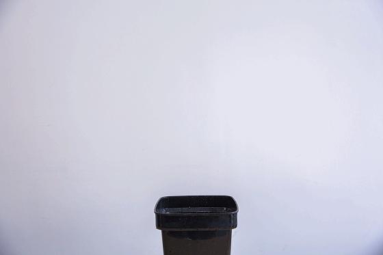 深夜去广州的花卉市场买花,如何逛斗南花卉市场买花便宜