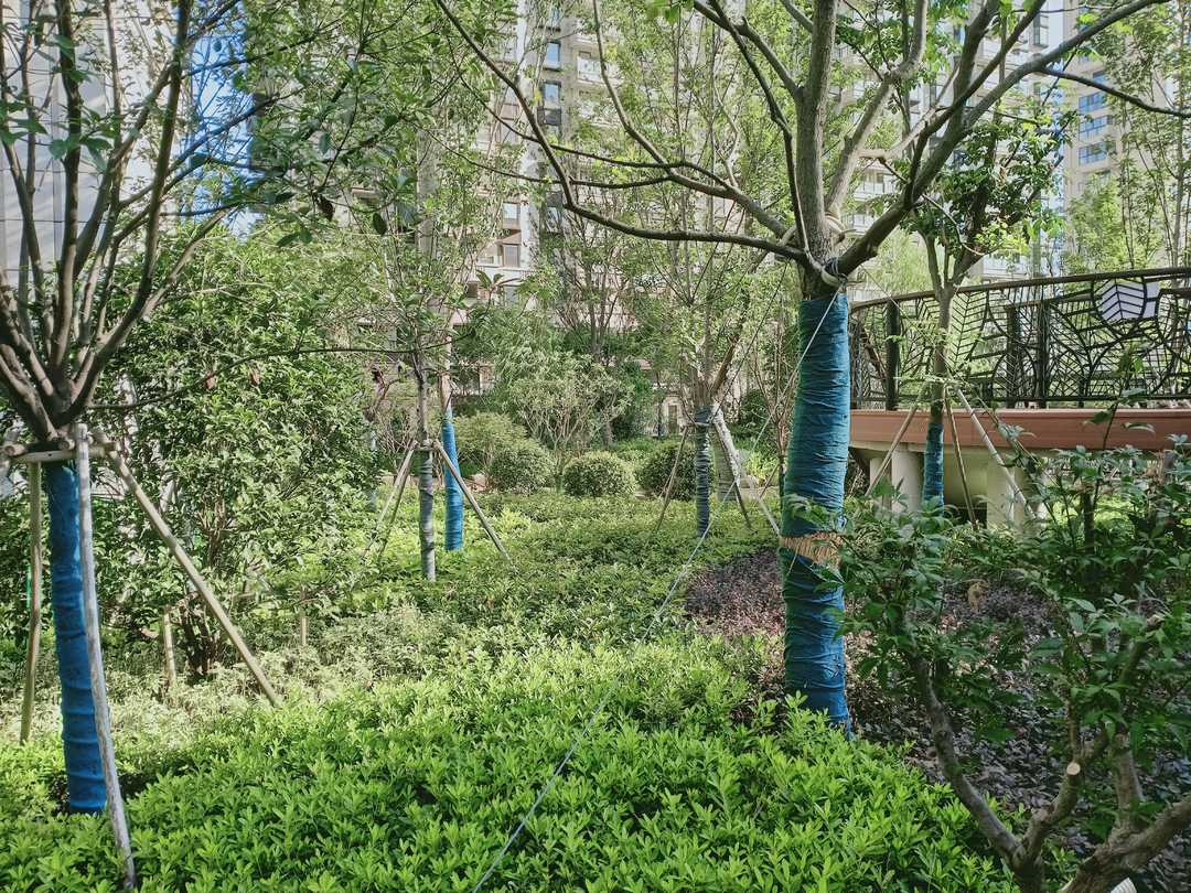 忆当初青春年少,再忆年少时已不再年少