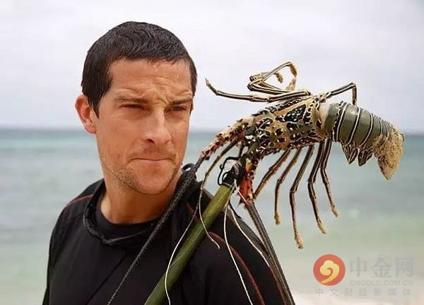 昆虫零食香辣,番茄薯片有哪些