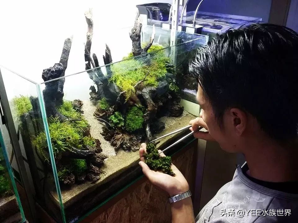 购买硝化细菌性价比高,硝化细菌买液态的好还是买胶囊好