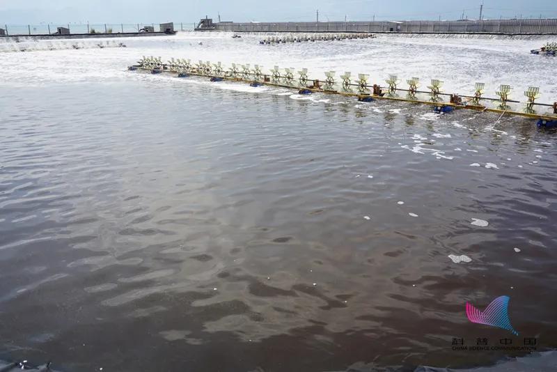 现在海水污染海鲜有毒吗,海水被污染了海鲜还能吃吗