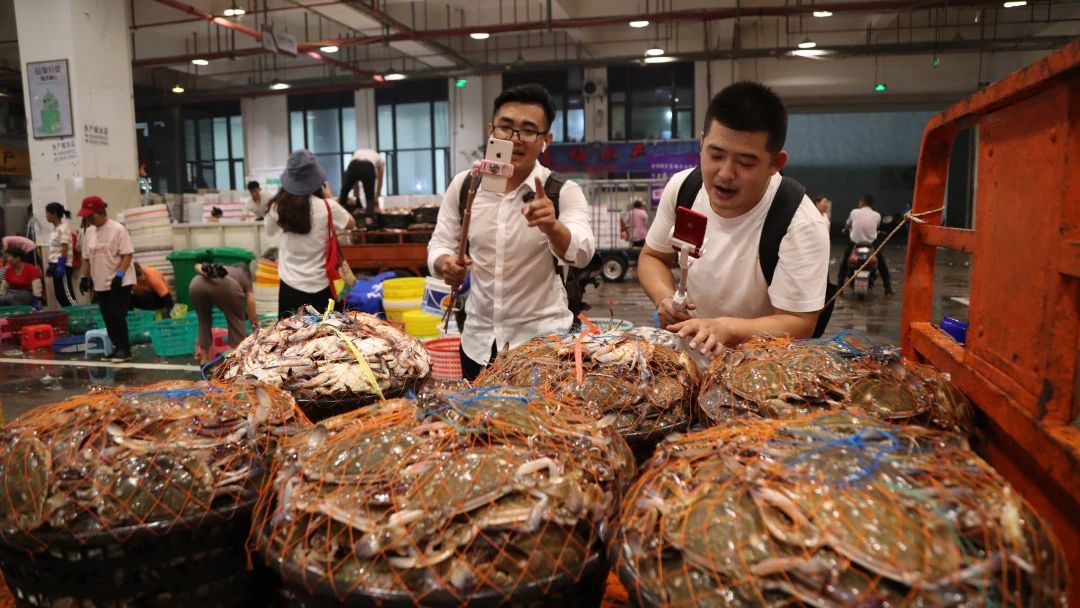 揭秘某些网红直播卖货,网红直播卖货揭秘