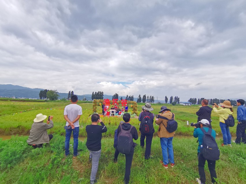 寻甸渔乐谷最新消息,寻甸欢乐世界项目大全