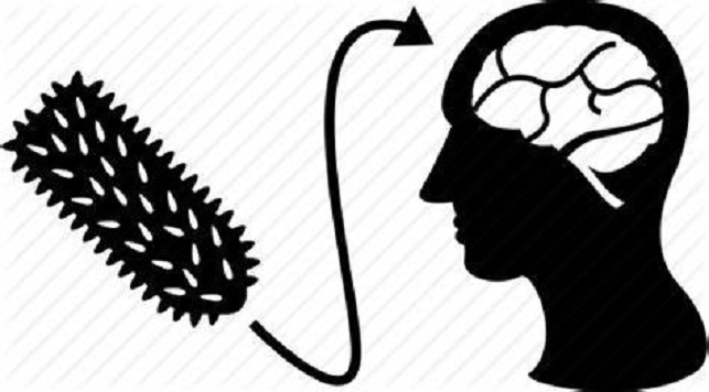 猫狗狂犬病一旦发病能活几天,为什么狂犬病一发作就治不好