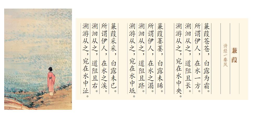 自然之美楷书,自然之美野性之美